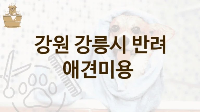강원 강릉시 리뷰 많은 반려견 애견미용 미용샵 소개, 서비스별 가격표