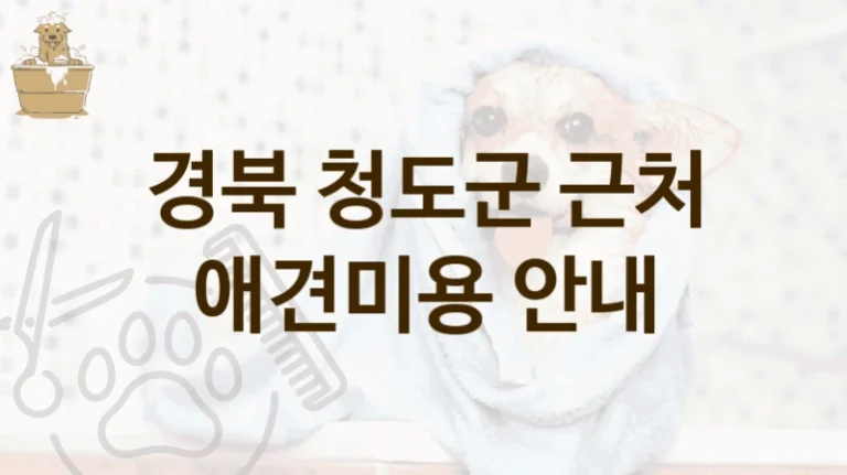 경북 청도군 댕댕이 애견미용 미용실 안내, 미용비용 총정리
