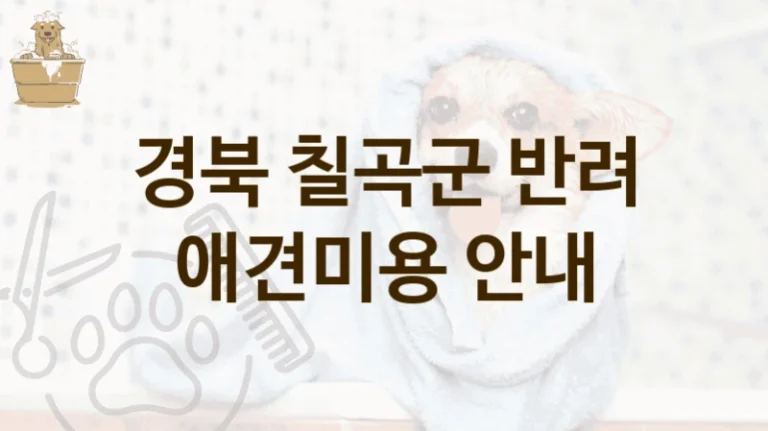 경북 칠곡군 위생 관리 철저 애견미용 살롱 추천, 이용 가격