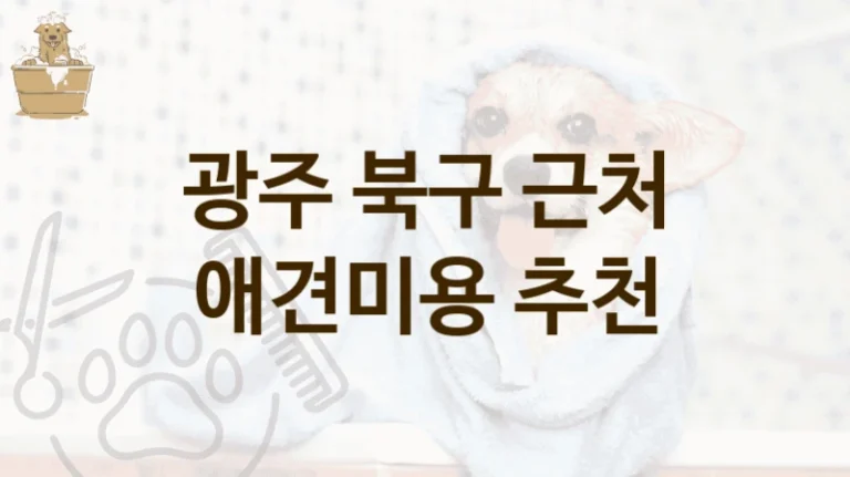 광주 북구 케어 중심 애견미용 샵 추천, 비용 및 후기