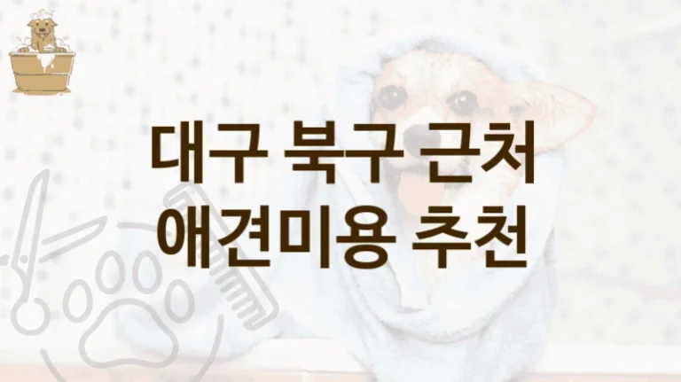 북구 프리미엄 애견미용 미용 서비스 후기 좋은 곳, 미용비 정리