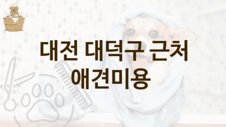 대전 대덕구 전문가의 케어 애견미용샵 추천 안내, 가격표와 반려견캐어 안내