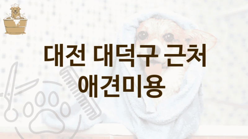 대전 대덕구 전문가의 케어 애견미용샵 추천 안내, 가격표와 반려견캐어 안내