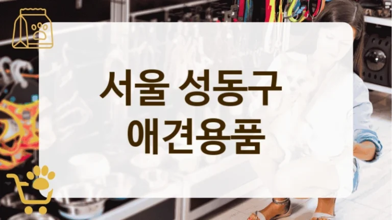 서울 성동구 반려견 필수템 가득한 애견용품 전문점 리스트