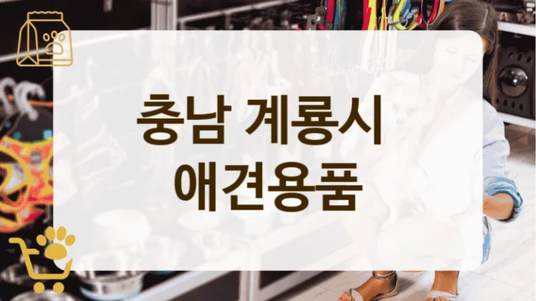충남 계룡시 초보 견주 추천 애견용품점 탐방기