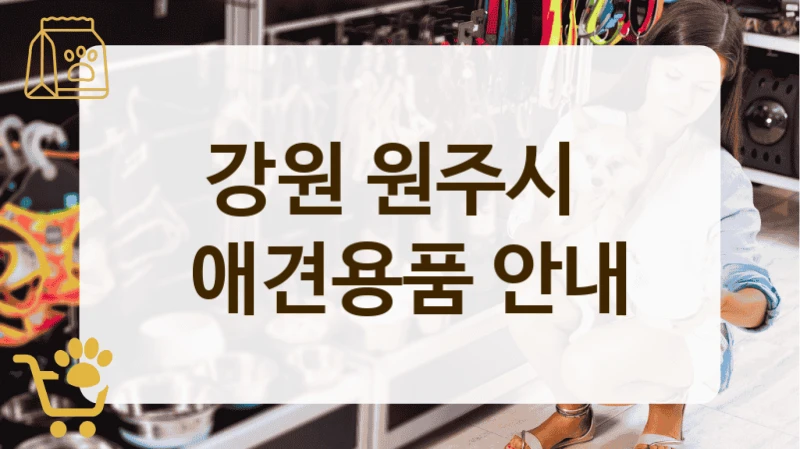 원주시 소문난 애견용품 전문 매장 탐방기