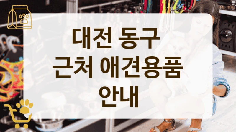 동구 애견 동반 가능 애견용품샵 추천 정보