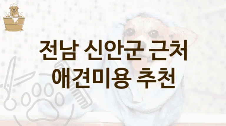 전남 신안군 실력 있는 전문가 제공하는 애견미용 전문 미용실 및 비용 안내