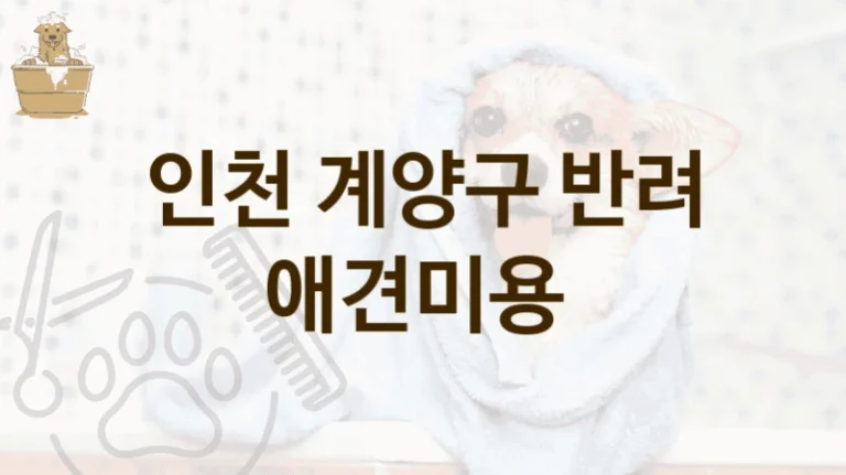 인천 계양구 프라이빗 애견미용 업체 리스트, 가격과 만족도 정보