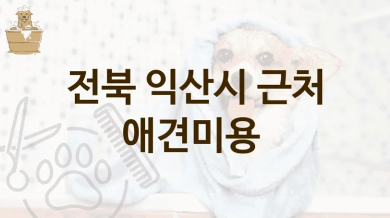 전북 익산시 실력 있는 전문가 제공하는 애견미용 업체 정보 및 비용 안내
