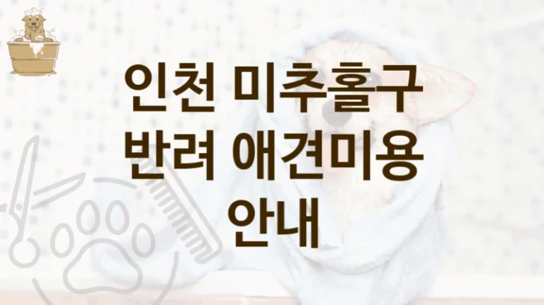 인천 미추홀구 전문가의 케어 애견미용샵 이용 정보, 미용비 및 서비스 정리