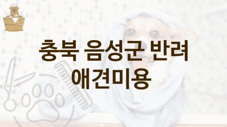 충북 음성군 프라이빗 애견미용 업체 리스트, 비용 및 후기