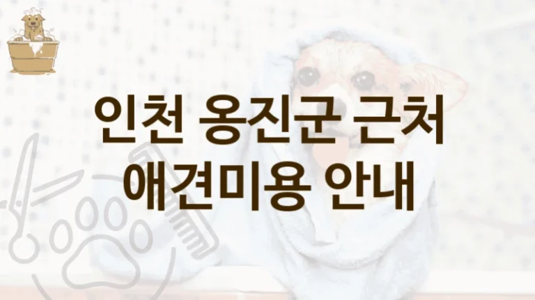옹진군 펫 전용 위생 케어 애견미용 미용 전문점 추천 및 가격 비교