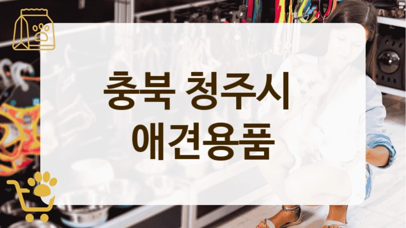 충북 청주시 리뷰 빵빵한 반려견 용품점 추천