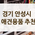 안성시 댕댕이 맞춤형 애견용품 구매처 탐방
