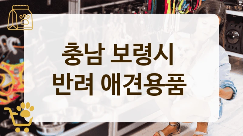 충남 보령시 오래 키운 보호자 추천 강아지 용품점 정리