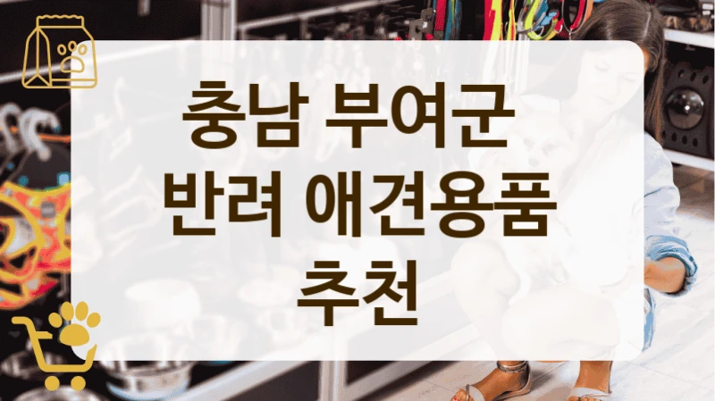 부여군 댕댕이 생활에 꼭 필요한 애견 용품점 추천 리스트 안내