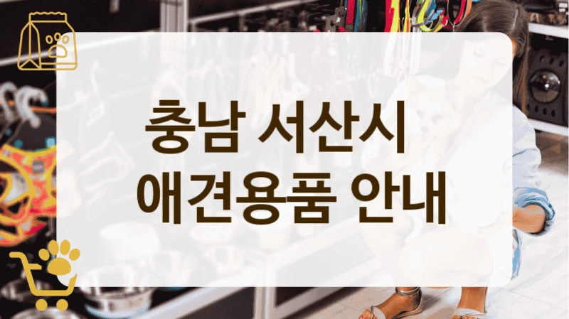서산시 강아지용품 판매점 위치 정리 & 상품 가이드