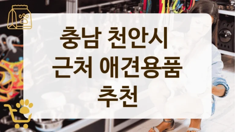 충남 천안시 초보 견주 추천 강아지 용품점 정리