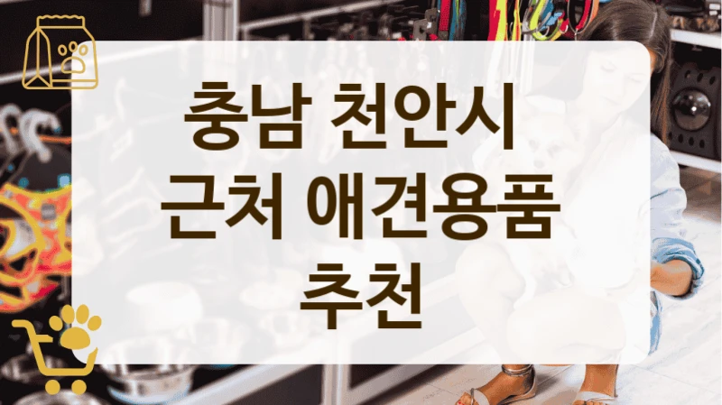 충남 천안시 초보 견주 추천 강아지 용품점 정리