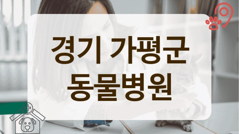 경기 가평군 고양이 친화 동물병원 어디가 좋을까?