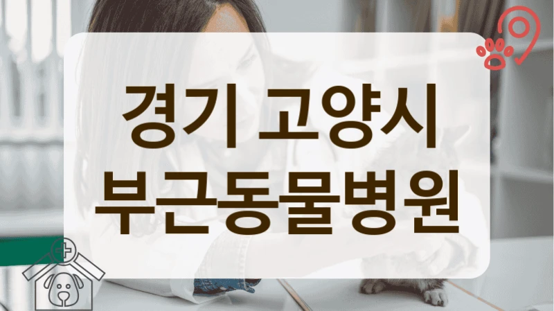 경기 고양시 안과 등 진료과목별 전문 동물병원 안내