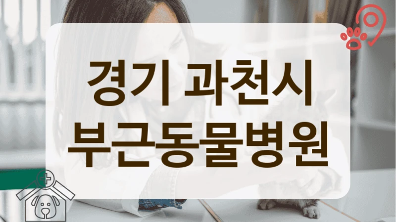 경기 과천시 반려동물 실력 좋은 동물병원 정보