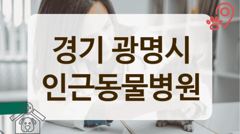 경기 광명시 충분한 설명을 중시하는 동물병원 추천