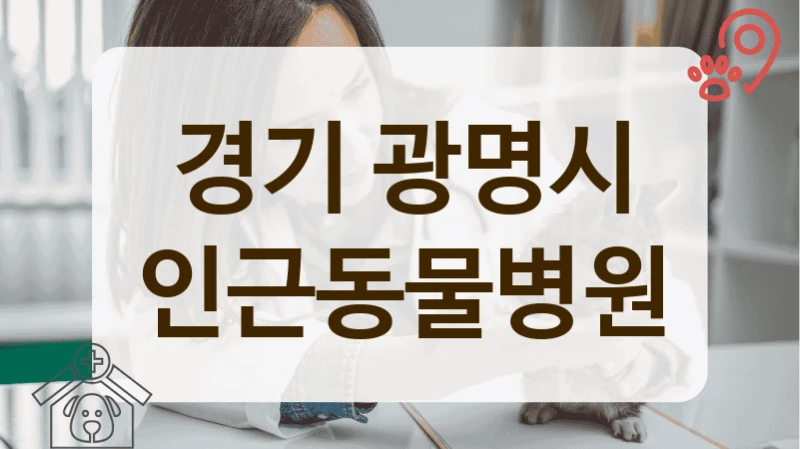 경기 광명시 충분한 설명을 중시하는 동물병원 추천