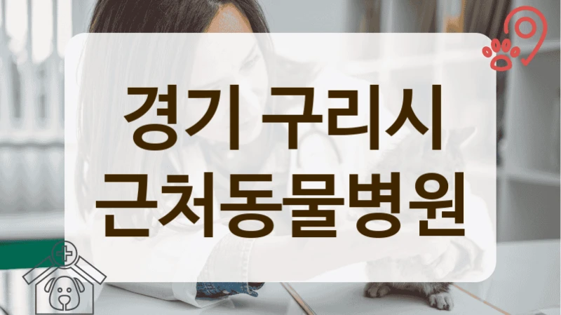 경기 구리시 안과 등 진료과목별 전문 동물병원 총정리