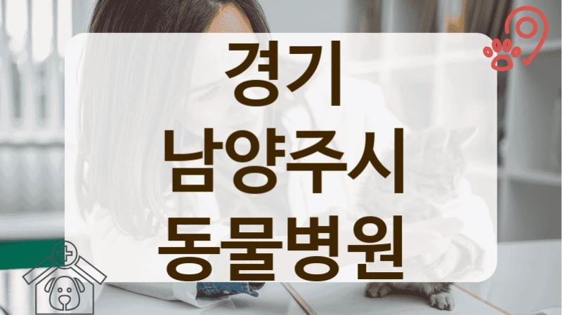 경기 남양주시 고양이 친화 동물병원 어디가 좋을까?