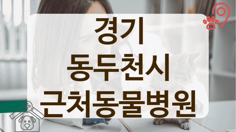 동두천시 최신 의료 기술로 진료하는 동물병원 리스트