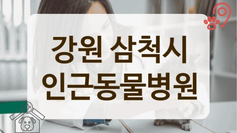 삼척시 합리적인 비용으로 반려동물 케어하는 동물병원 추천