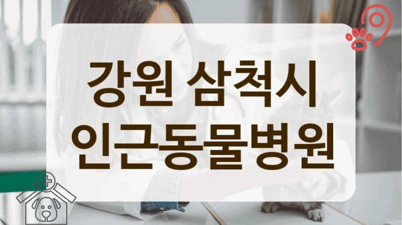 삼척시 합리적인 비용으로 반려동물 케어하는 동물병원 추천