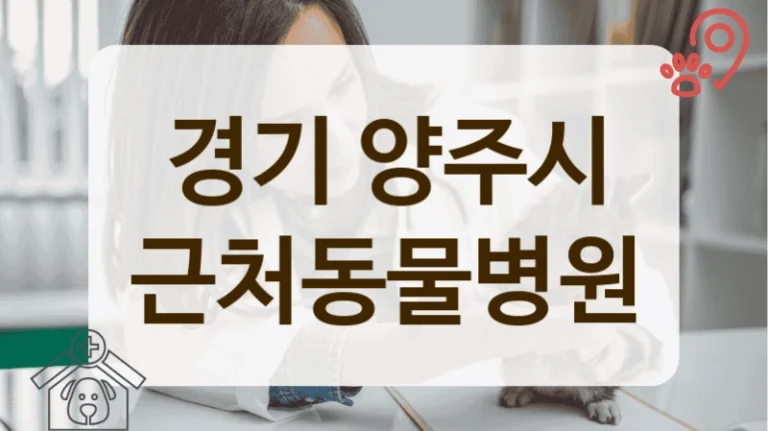양주시 실력있는 반려동물 전문 병원 리스트
