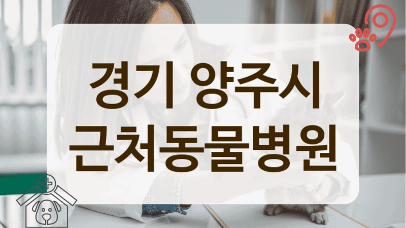 양주시 실력있는 반려동물 전문 병원 리스트