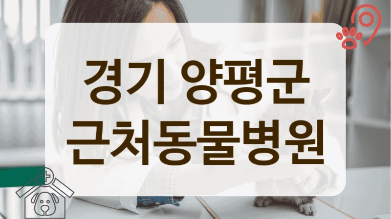 경기 양평군 반려동물 처음이라면, 동물병원 선택 가이드