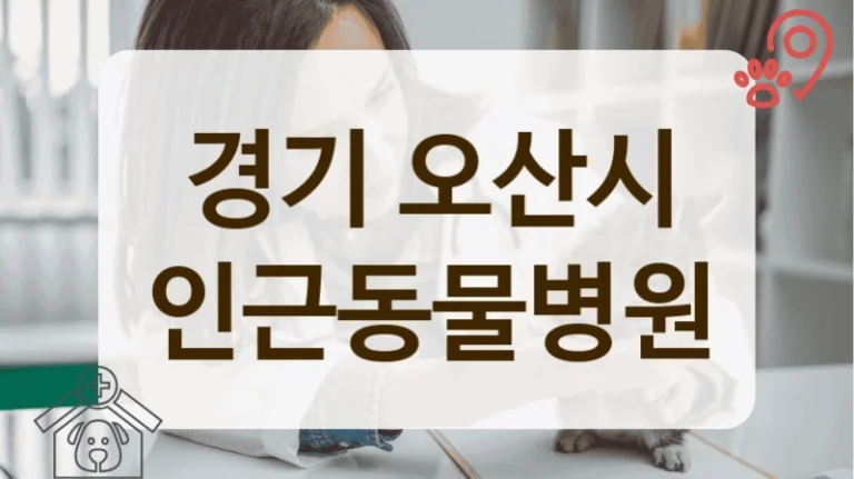 오산시 수술 후 회복 관리 잘해주는 동물병원 정보 공유