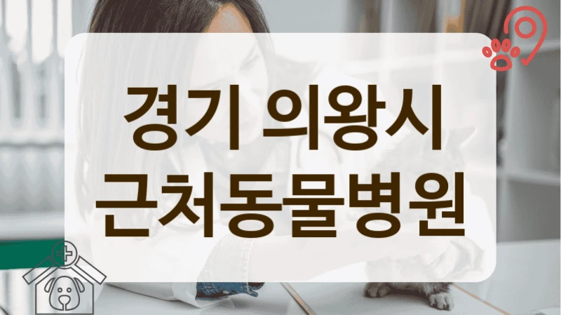 의왕시 인근 강아지 동물병원, 건강검진 항목 및 비용 A to Z