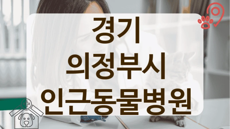 의정부시 우리 고양이 주치의 찾기, 마음 편한 동물병원
