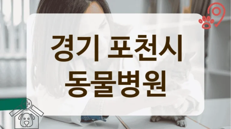 포천시 관절 관리 등 반려동물 진료 케어 동물병원 추천