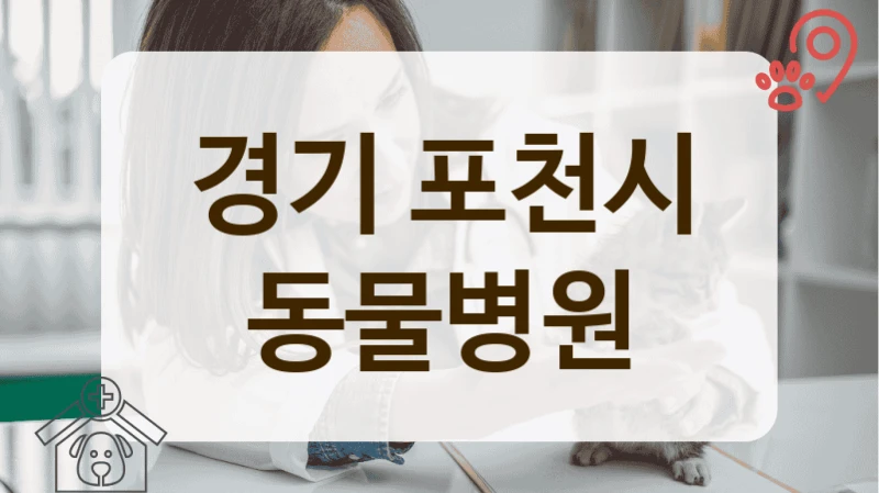 포천시 관절 관리 등 반려동물 진료 케어 동물병원 추천