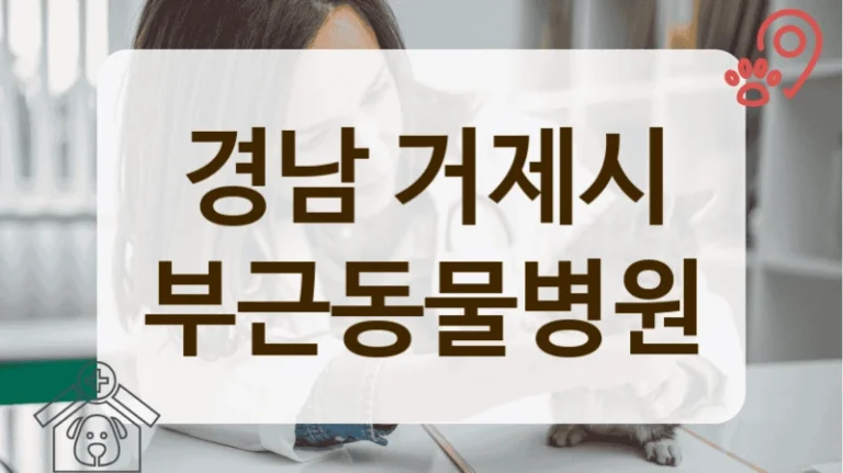 경남 거제시 동네 사랑방 같은 동물병원 정보안내