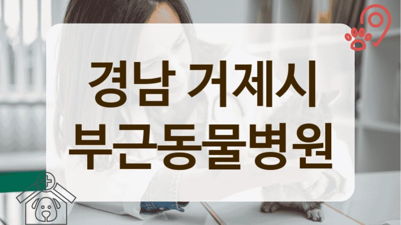 경남 거제시 동네 사랑방 같은 동물병원 정보안내