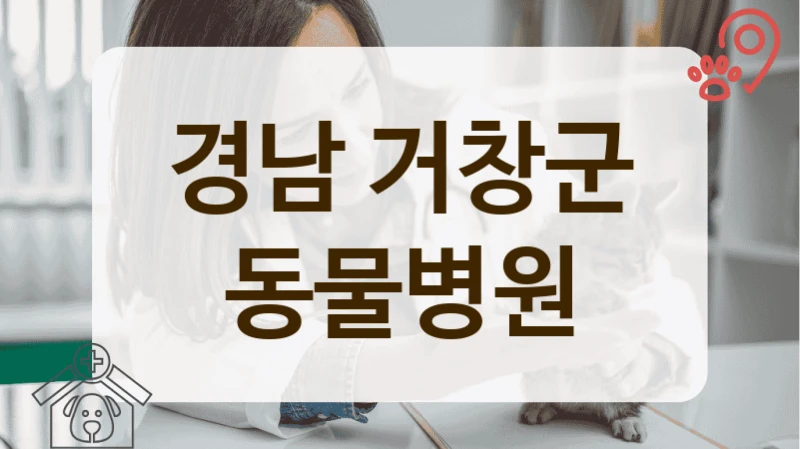 경남 거창군 반려동물 피부 질환 상담 및 치료 잘하는 곳