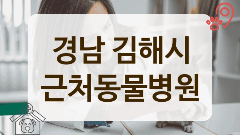 경남 김해시 최신 장비 보유 동물병원 추천 정보