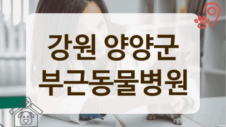 강원 양양군 지역 커뮤니티에서 유명한 동물병원