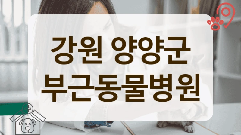 강원 양양군 지역 커뮤니티에서 유명한 동물병원