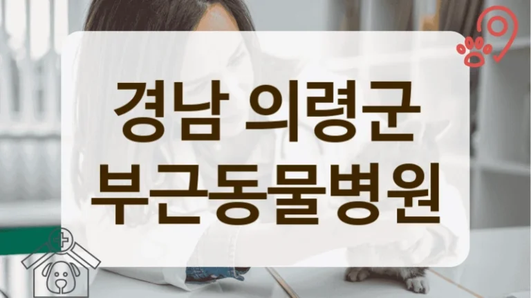 의령군 강아지 질환, 관리 잘해주는 동물병원 추천