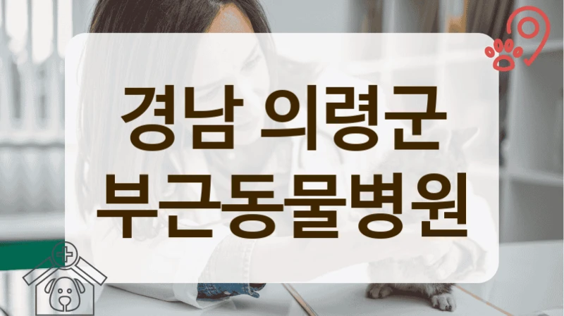 의령군 강아지 질환, 관리 잘해주는 동물병원 추천